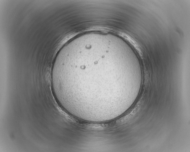 X0000115631049200912011436