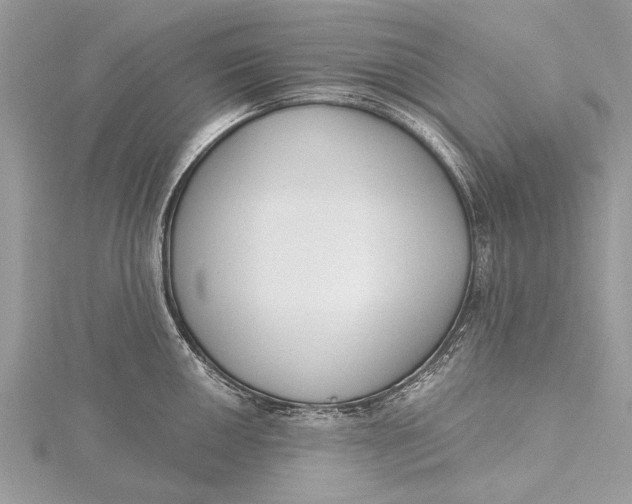 X0000115631050200912011436