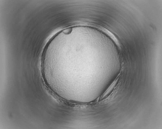 X0000115631051200912011436