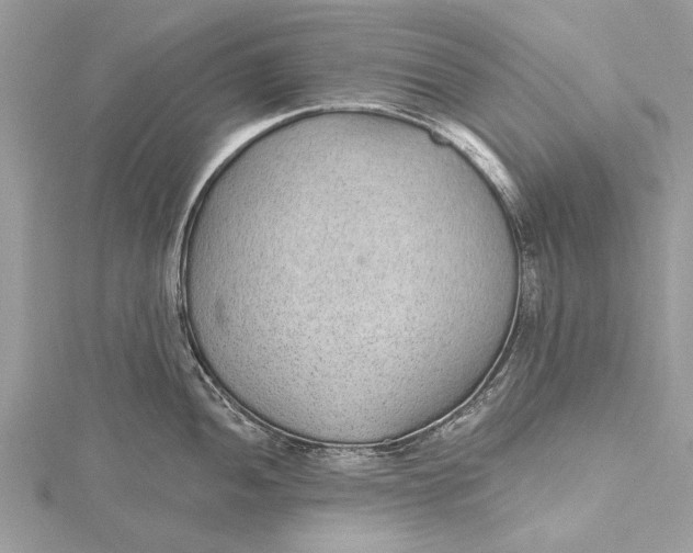 X0000115631052200912011436