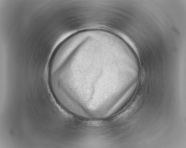 X0000115631053200912011436