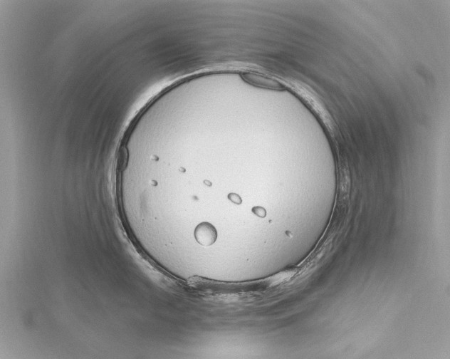 X0000115631054200912011436