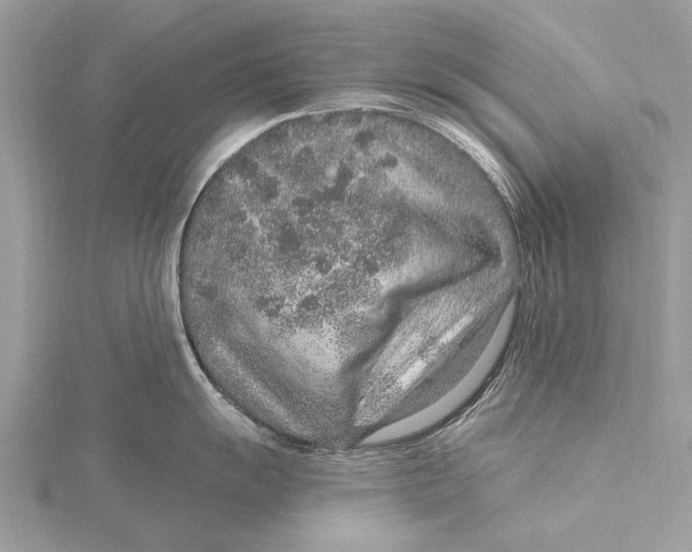 X0000115631055200912011436