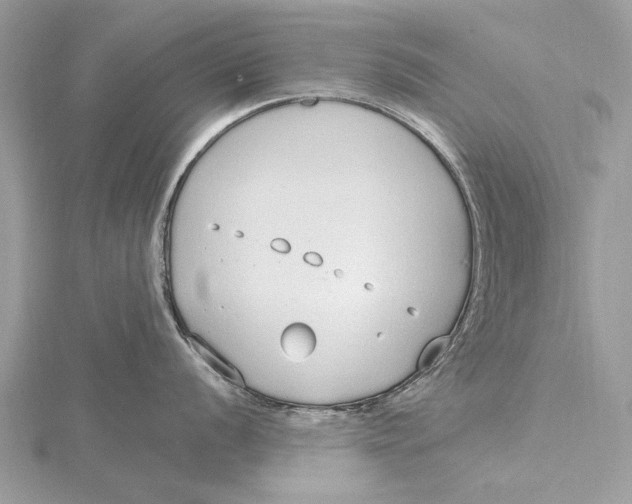 X0000115631056200912011436