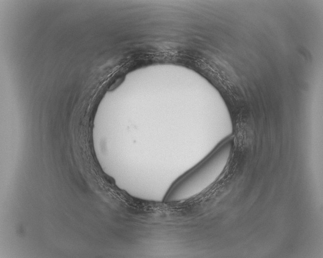 X0000115631057200912011436