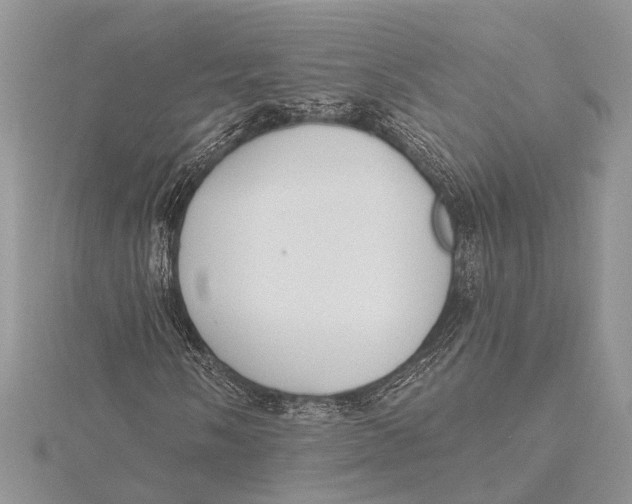 X0000115631058200912011436