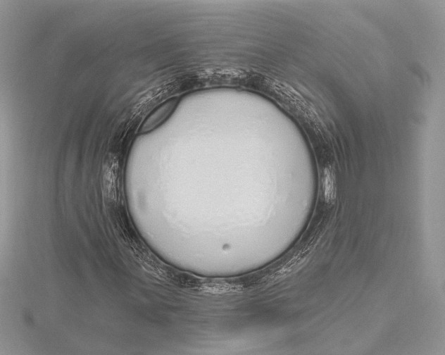 X0000115631059200912011436