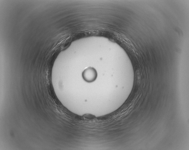 X0000115631060200912011436