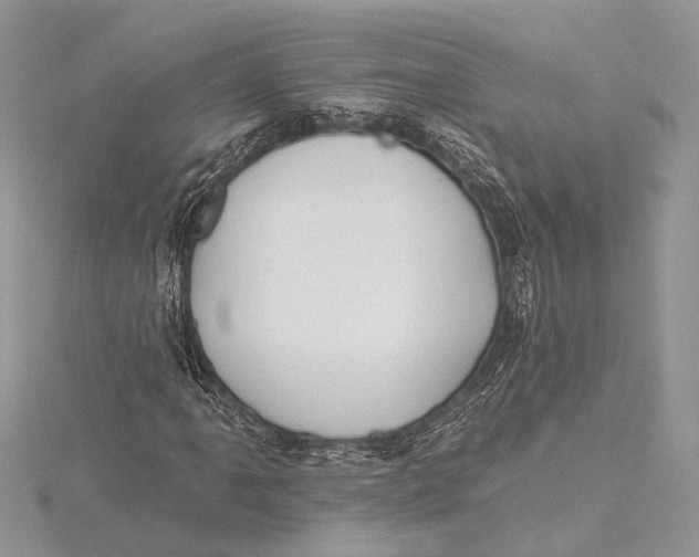 X0000115631061200912011436