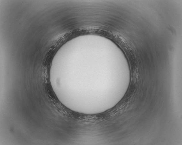 X0000115631062200912011436