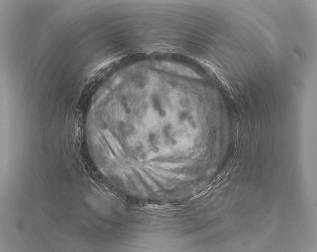 X0000115631063200912011436