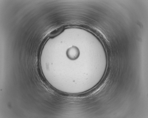 X0000115631065200912011436