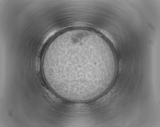 X0000115631067200912011436