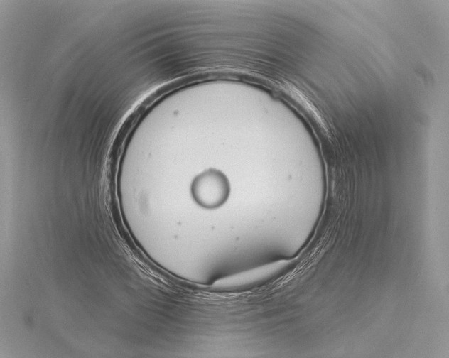 X0000115631068200912011436