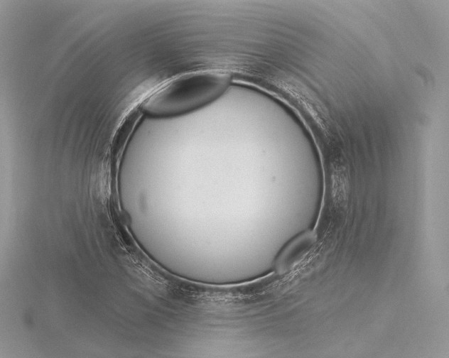 X0000115631069200912011436