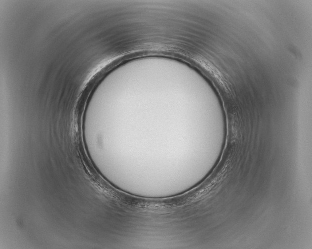 X0000115631070200912011436