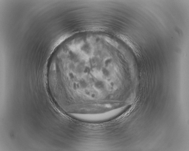 X0000115631071200912011435