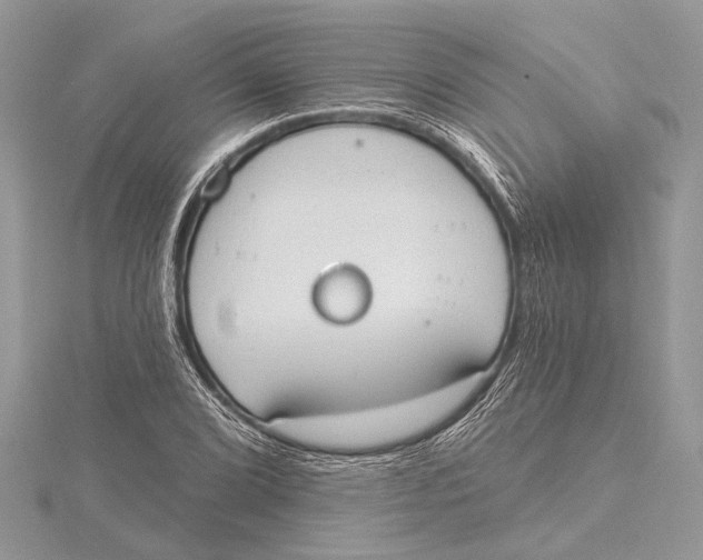 X0000115631072200912011435