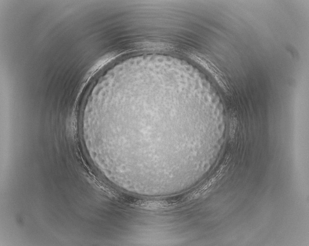 X0000115631074200912011435