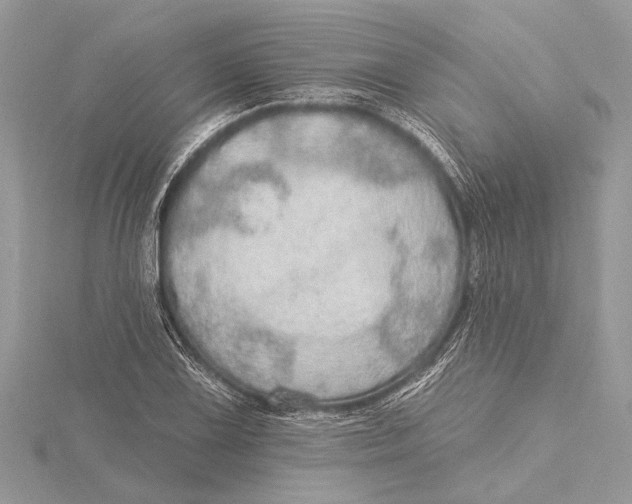 X0000115631075200912011435