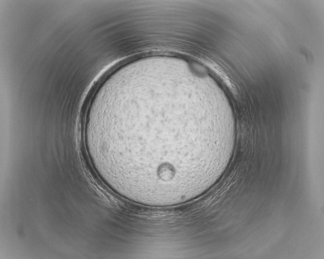 X0000115631076200912011435