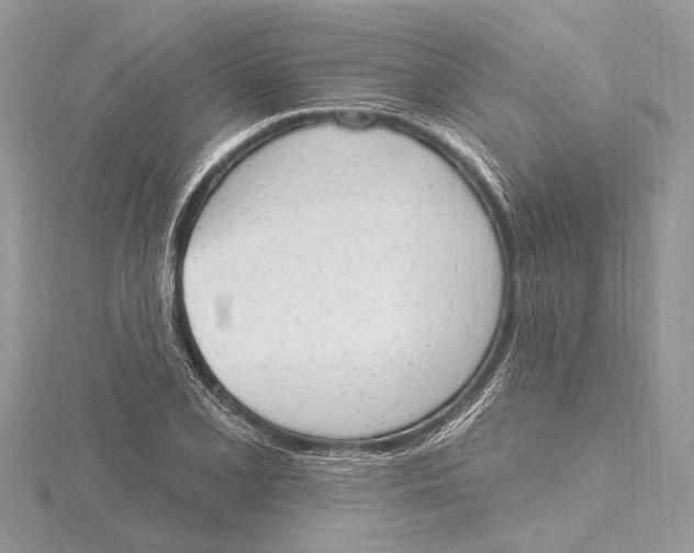 X0000115631077200912011435