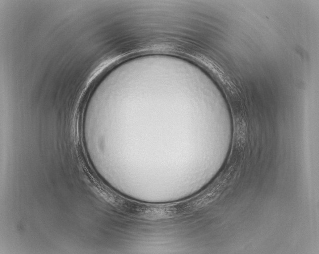 X0000115631078200912011435