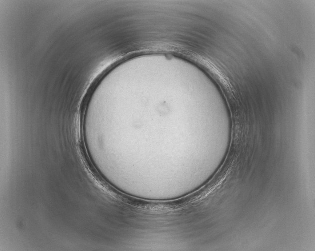 X0000115631079200912011435