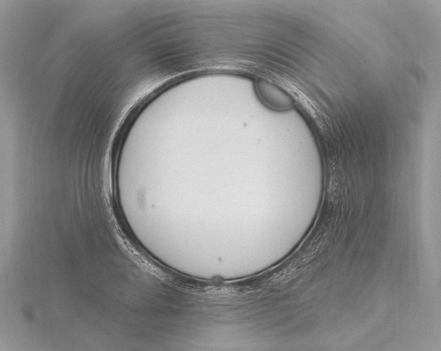 X0000115631080200912011435