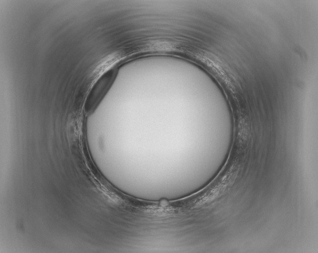 X0000115631081200912011435