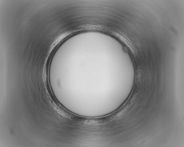 X0000115631082200912011435