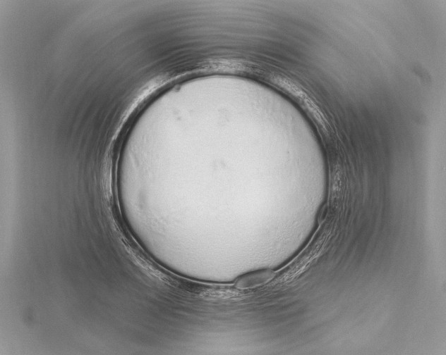 X0000115631083200912011435