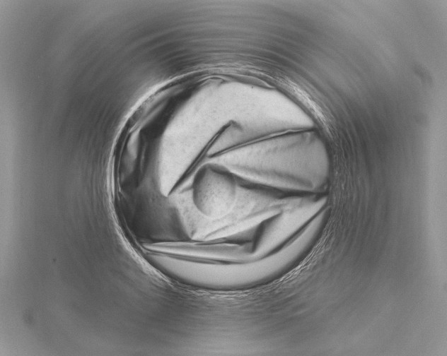 X0000115631084200912011435