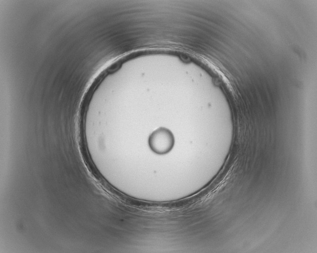 X0000115631085200912011435