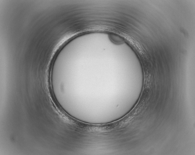 X0000115631086200912011435