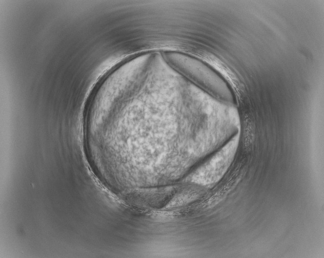 X0000115631088200912011435