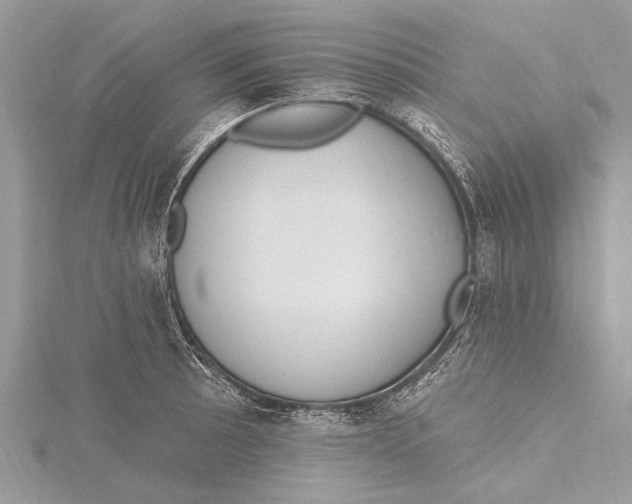 X0000115631089200912011435