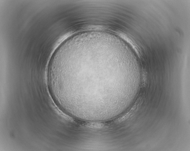 X0000115631090200912011435