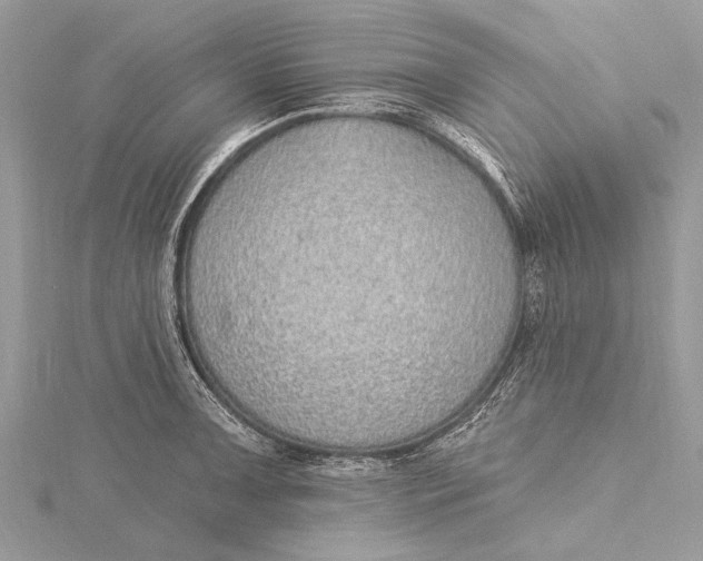 X0000115631091200912011435