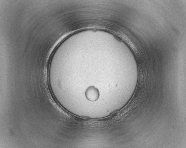 X0000115631092200912011435