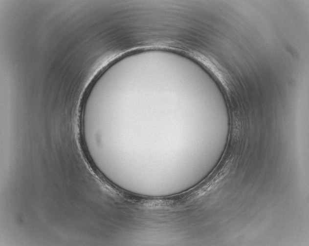 X0000115631093200912011435