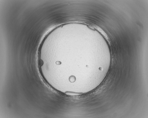 X0000115631096200912011435