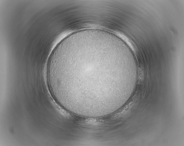 X0000115631098200912011435