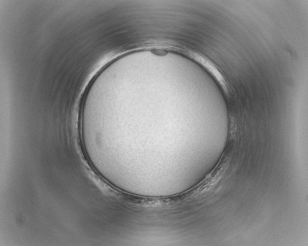 X0000115631099200912011435