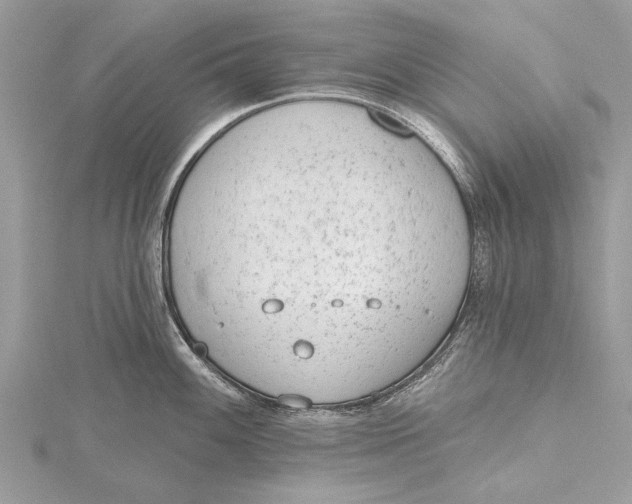 X0000115631100200912011435