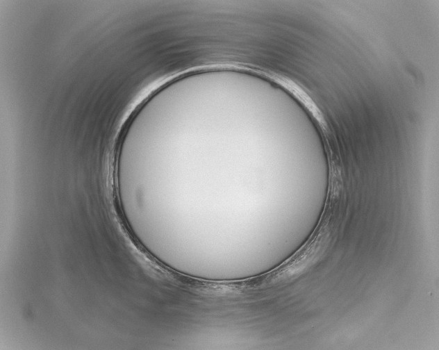 X0000115631101200912011435