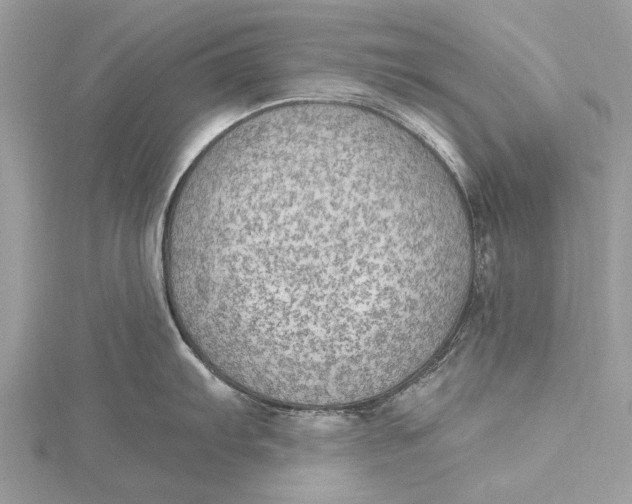 X0000115631103200912011435