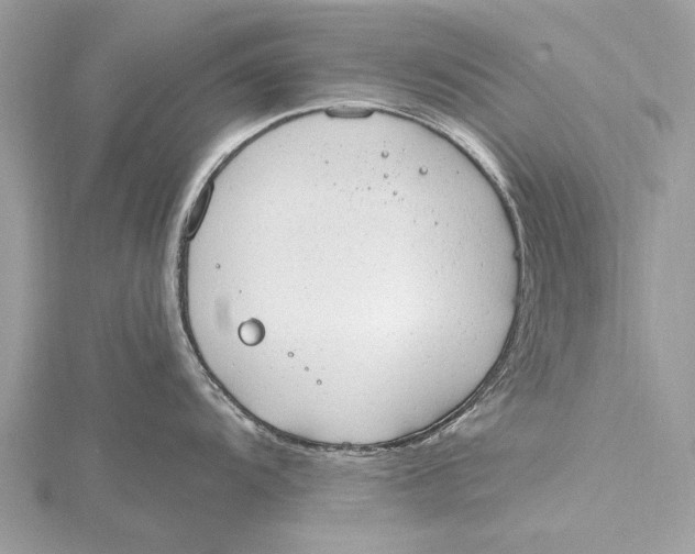 X0000115631104200912011435