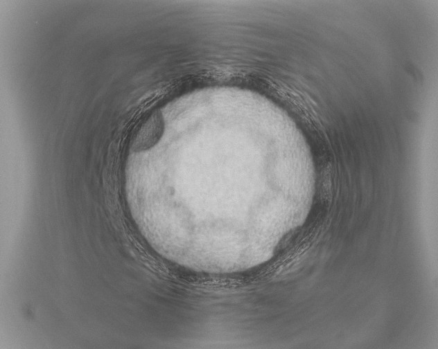 X0000115631105200912011434