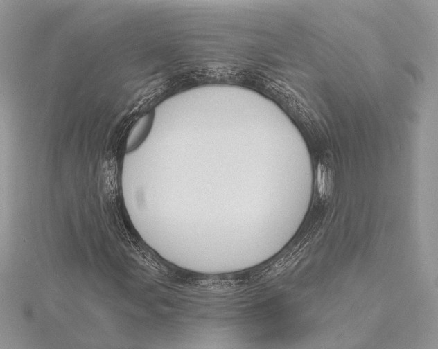 X0000115631107200912011434